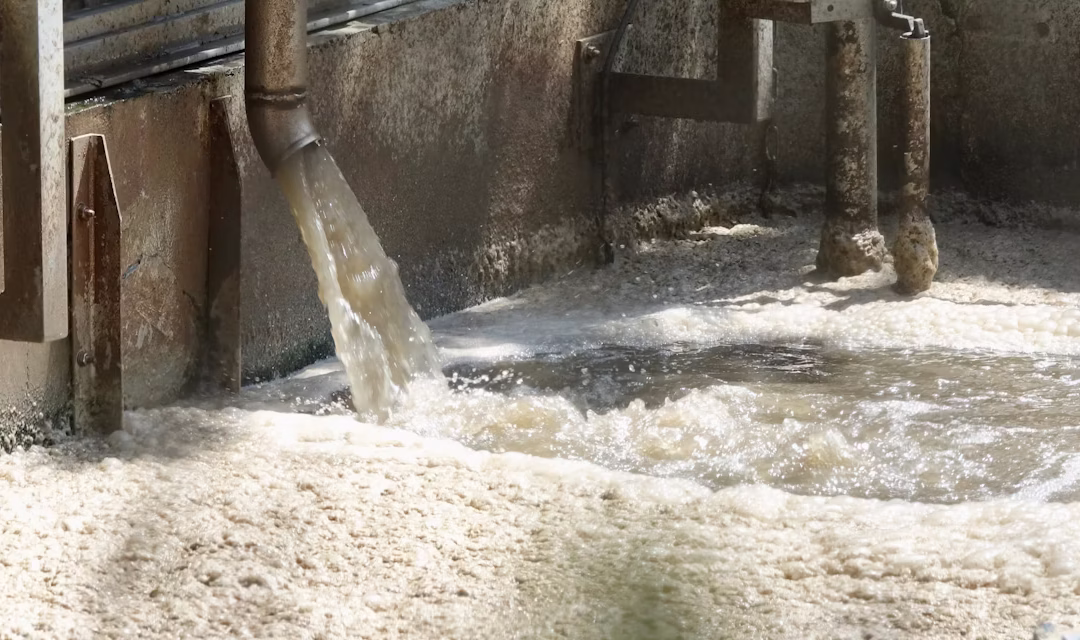 Sensores basados en bacterias, los nuevos guardianes invisibles del agua